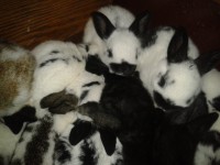 /album/jsoceanwind/a2014-04-05-15-49-18-jpg/